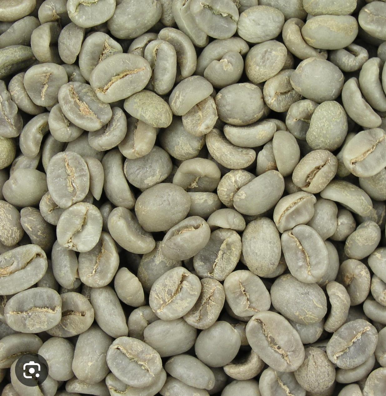 Sidamo grade 1st